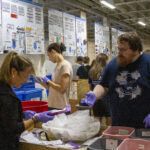 VOLUNTEER: Active Saturday Sort during our 2023 MedWish Miles Event.
